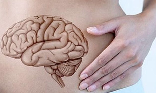 Sindrome del colon irritabile e celiachia: fare pace con l’intestino, secondo cervello