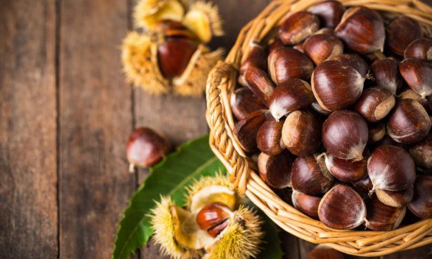 Farina di castagne: l’alternativa calorica, nutriente e priva di glutine